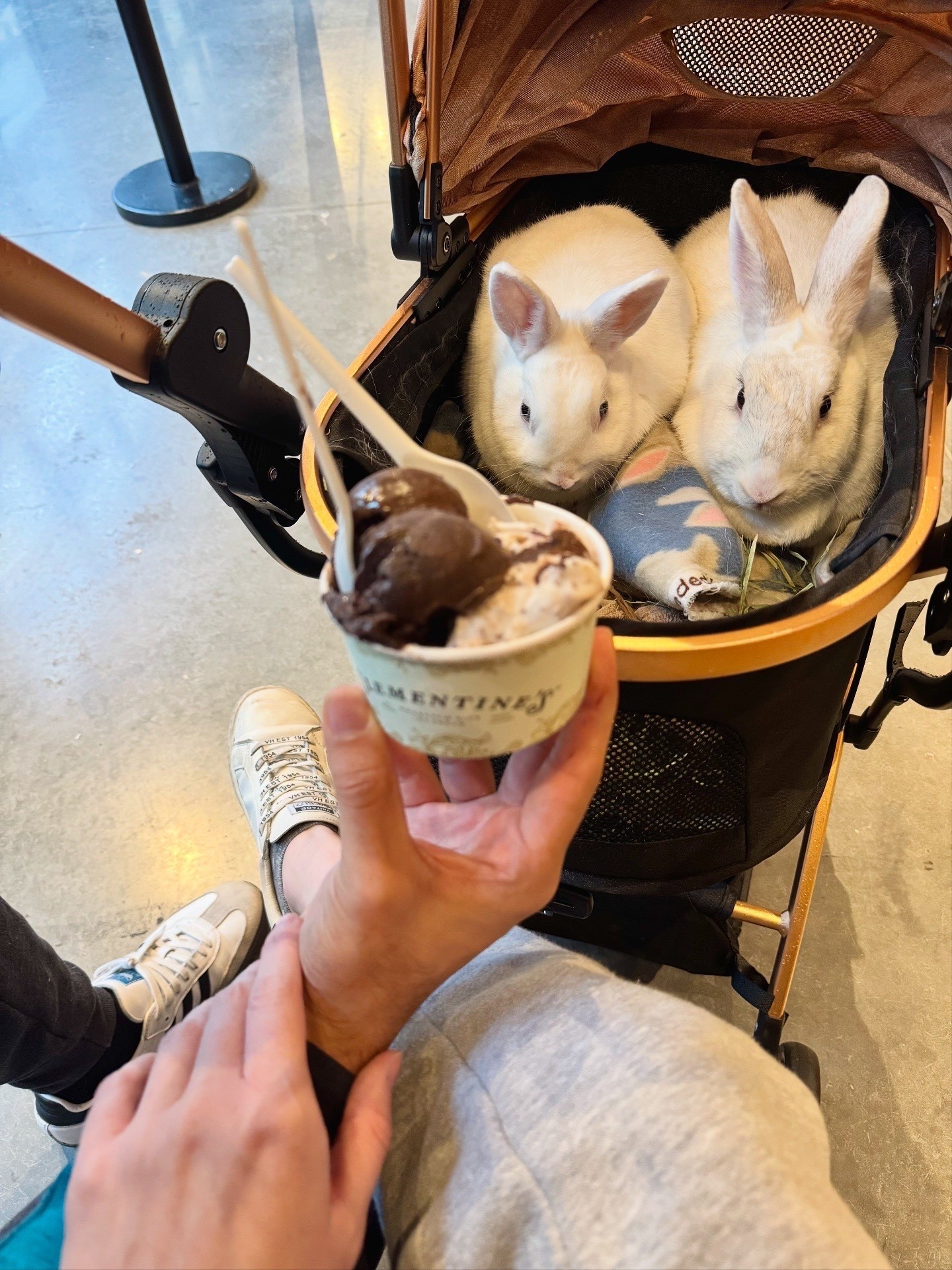 If you're looking for a great pet stroller, this one from Amazon is fantastic! It has a detachable carrier that you can hook onto the stroller base just like a baby car seat, which makes it super convenient! 

#LTKPets