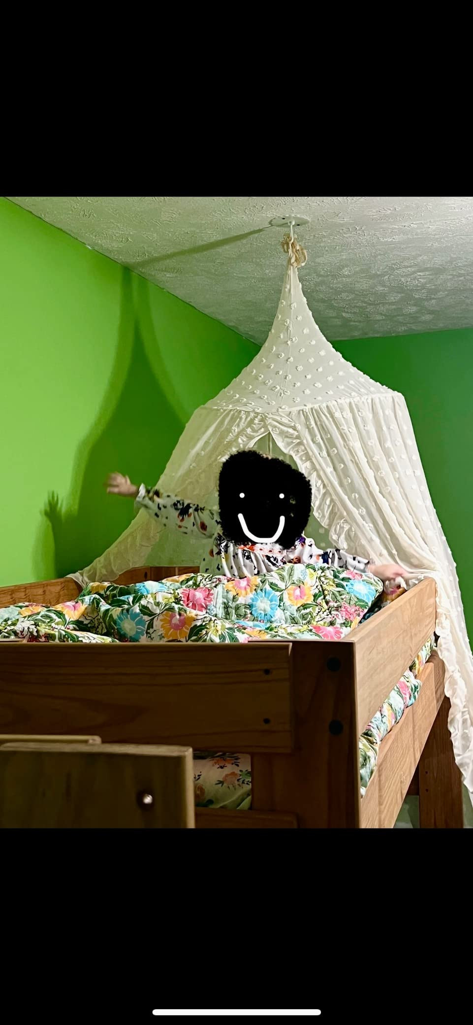 Wonder Space Elegant Kids Bed Canopy - Lace Chiffon Netting with Pom Pom, Princess Girls Fairy Dr... | Amazon (US)