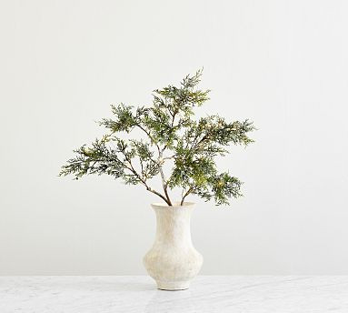 Faux Lit Frosted Juniper Berry Branch | Pottery Barn (US)