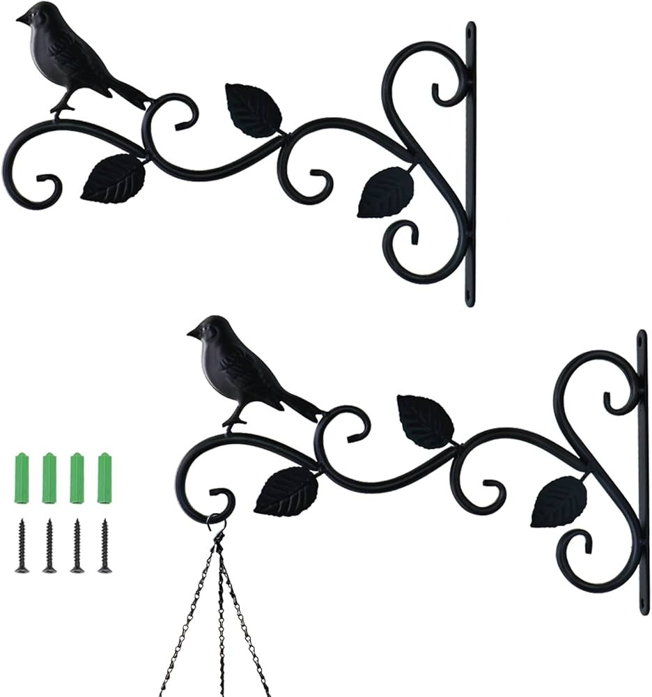 JIALAI HOME 2 Pack Hanging Plants Bracket 12" Bird Planter Outdoor Hooks Hangers for Flower Baske... | Amazon (US)
