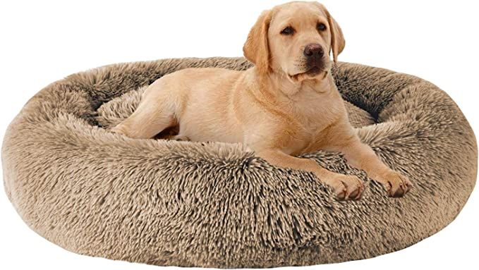 MFOX Calming Dog Bed (L/XL/XXL/XXXL) for Medium and Large Dogs Comfortable Pet Bed Faux Fur Donut... | Amazon (US)