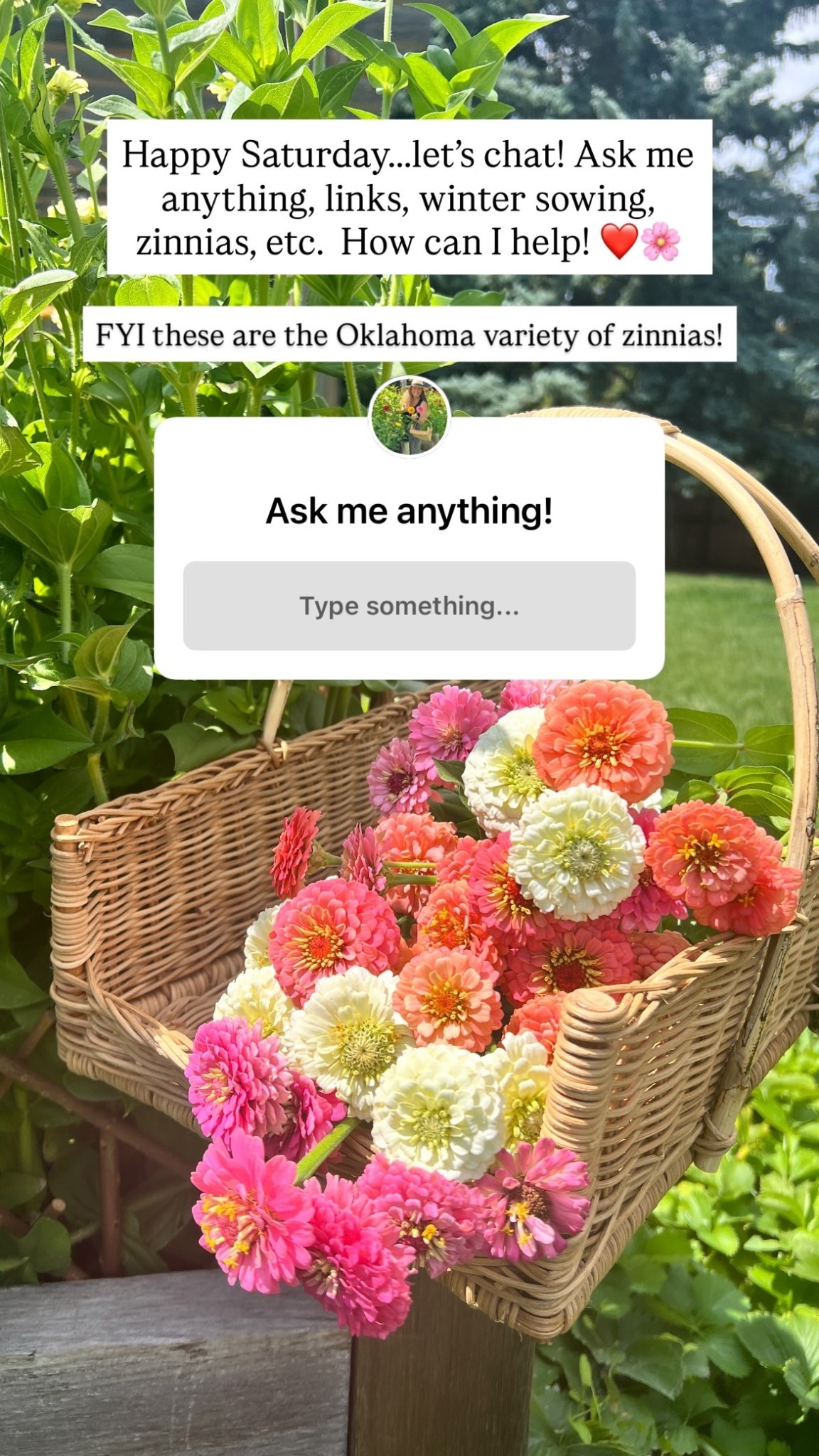 These are the Oklahoma variety of zinnias in my favorite gathering basket!

#LTKSeasonal #LTKHome #LTKSpringSale