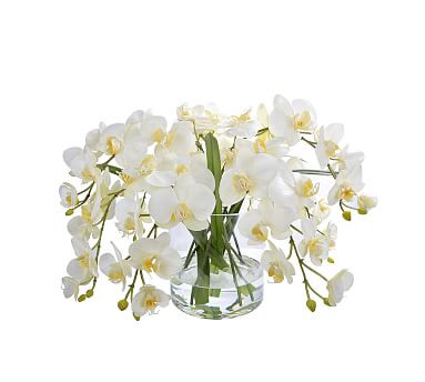 Faux Orchid Phalaenopsis In Round Glass Vase | Pottery Barn (US)