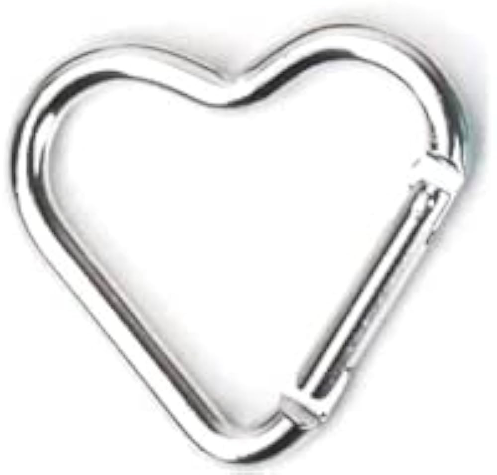 ​Carabiners Keychain Clips Snap Hook Key Ring for Camping Accessories Backpack Water Bottle Alu... | Amazon (US)