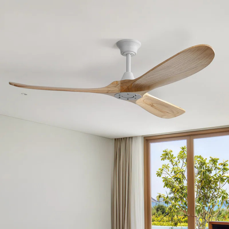 Nicola 60'' Ceiling Fan | Wayfair North America
