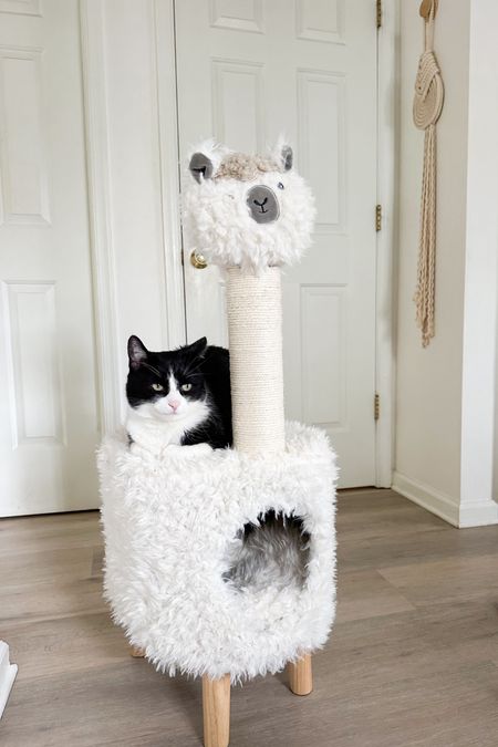 Our kitties are loving their silly and soft new lama cat tree 

#LTKfindsunder100 #LTKfindsunder50 #LTKhome