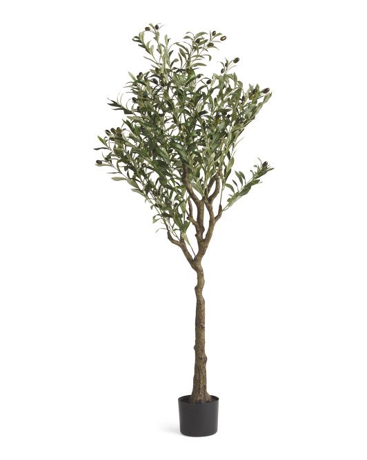 60in Olive Tree | Plants & Planters | Marshalls | Marshalls