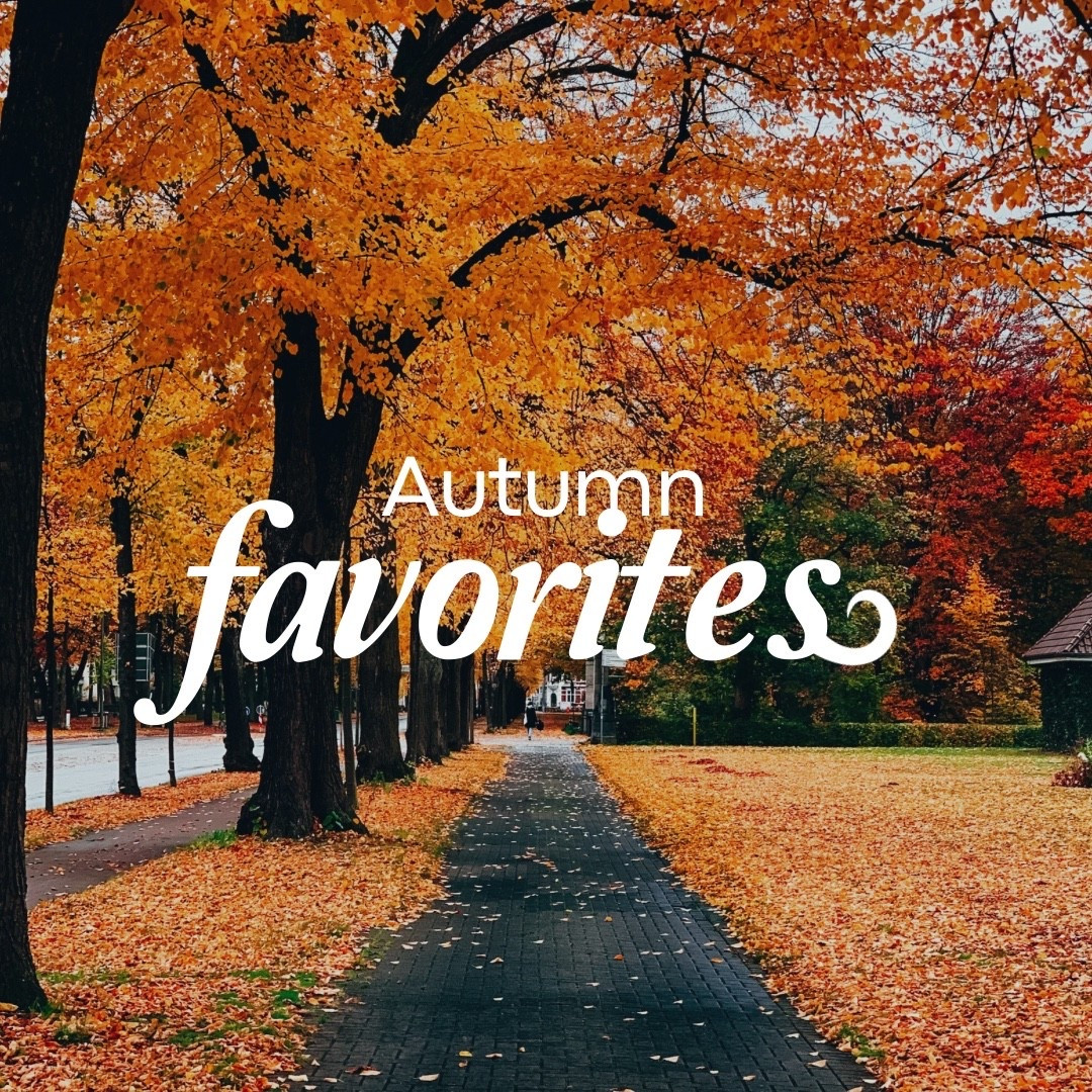 All of our fall must have items! 

#LTKFamily #LTKSeasonal #LTKFallSale