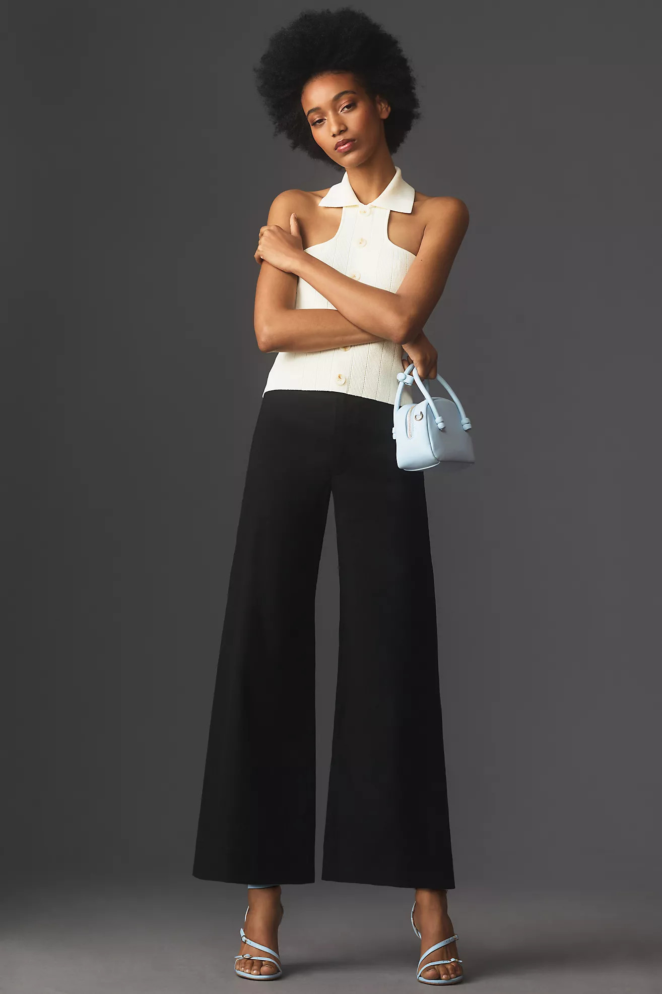 The Ettie High-Rise Crop Wide-Leg Pants by Maeve | Anthropologie (US)