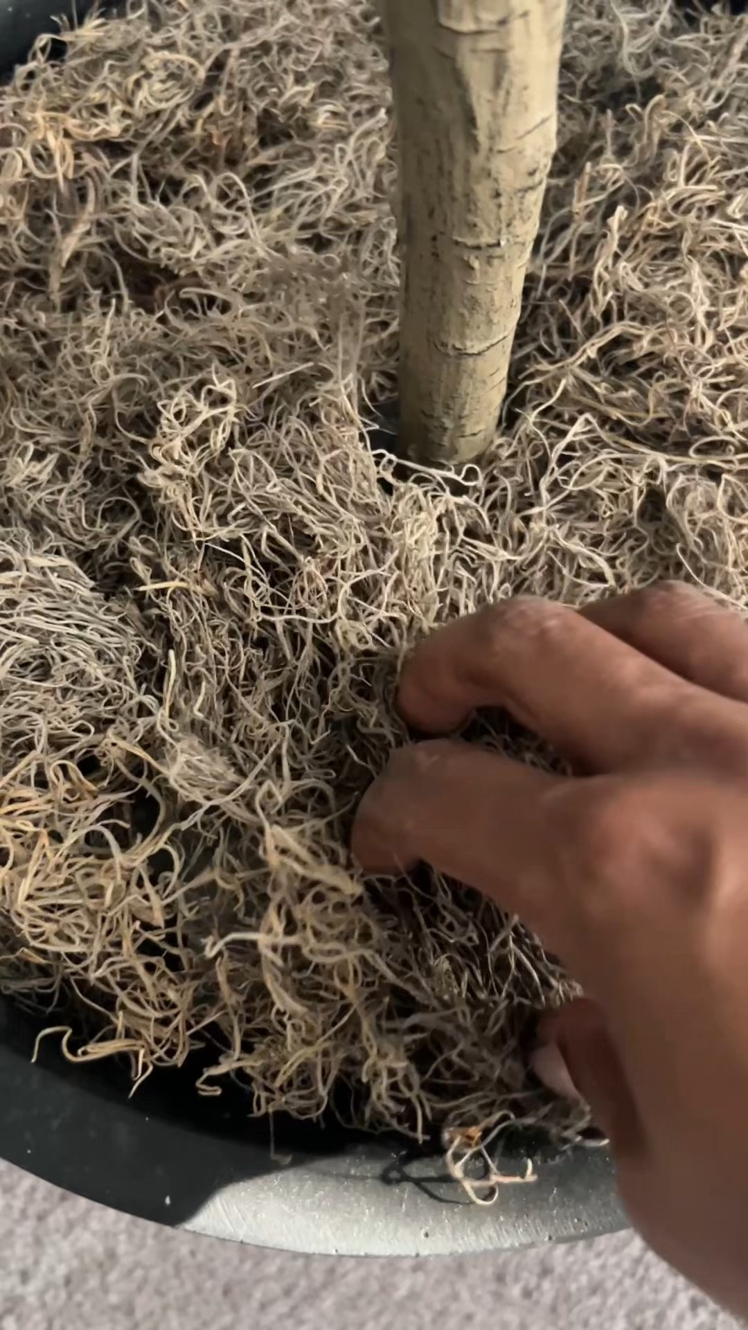 You don’t have to fill every planter completely.

Using a styrofoam under the Spanish moss so it looks full without wasting material.

It’s a simple trick that makes styling easier.

#LTKHome