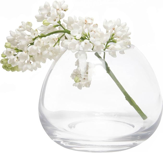 Chive - Set 6 George Shape 3, 3 Inch Wide 3 Inch Tall Unique Clear Glass Flower Vase, Small Elega... | Amazon (US)