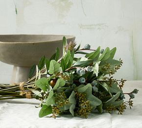 Faux Mixed Olive Bundle | Pottery Barn (US)