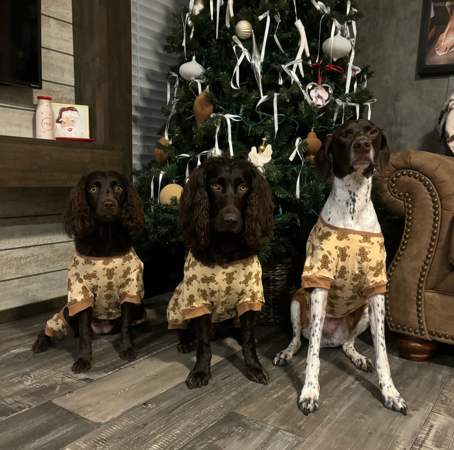 dog christmas pajama’s!!🤎

#LTKHoliday #LTKSeasonal #LTKHome