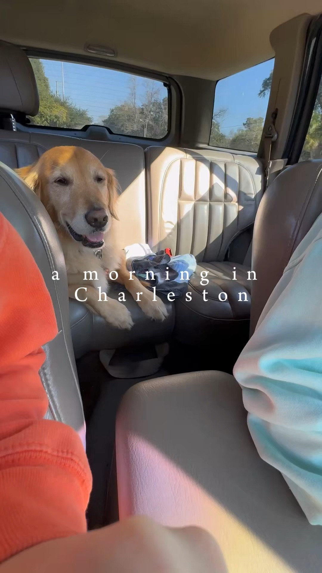 Spending a morning in Charleston 