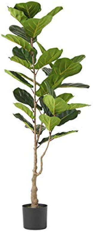 Christopher Knight Home 313743 Artificial Plants, 5' x 2', Green | Amazon (US)