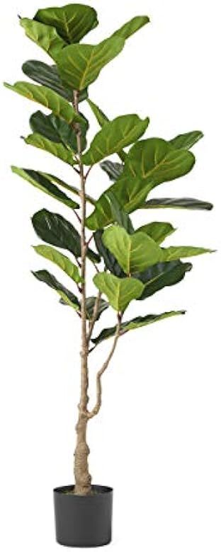 Christopher Knight Home 313743 Artificial Plants, 5' x 2', Green | Amazon (US)