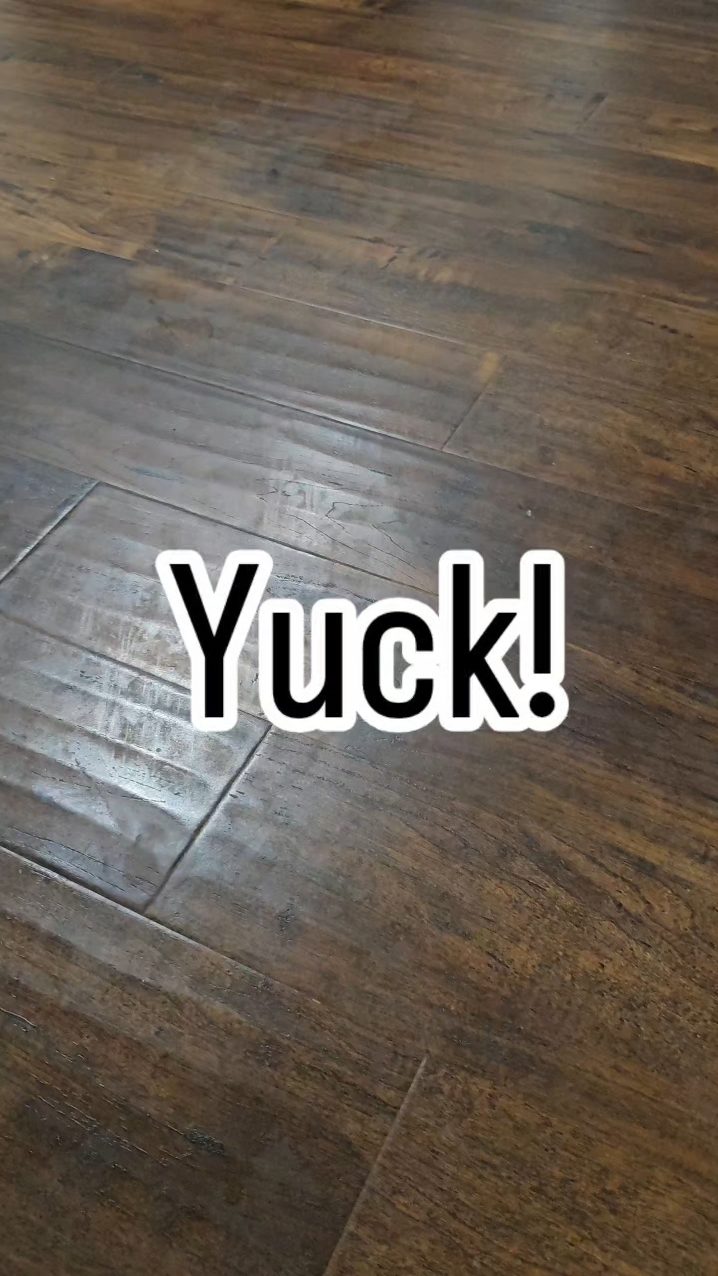 Do you clean before traveling? I do! Our home has wood floors and tile. I found ONE mop that can easily clean it all! 🧽 Tip: Skip the steam, and only use a 50/50 solution of vinegar and water on the wood floor. For your ceramic tile, use your favorite cleaner and go full steam ahead! *

#LTKdayinmylife #LTKmomlife #LTKHome