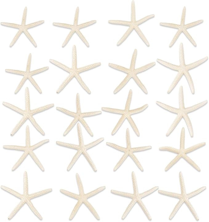 Jangostor 20 PCS Starfish 2.5-4 Inch Ocean Beach Starfish-Natural Seashells Starfish Perfect for ... | Amazon (US)