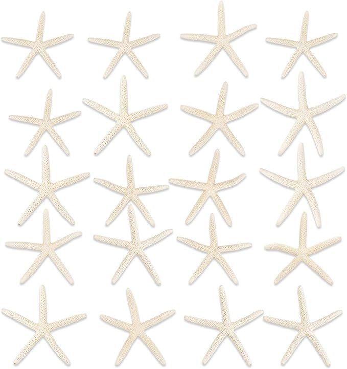 Jangostor 20 PCS Starfish 2.5-4 Inch Ocean Beach Starfish-Natural Seashells Starfish Perfect for ... | Amazon (US)