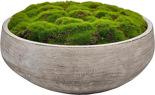 Macomine Design Moss Bowl |12" Diameter | Artificial | Hand-Painted Cement Bowl | Home Décor | Amazon (US)