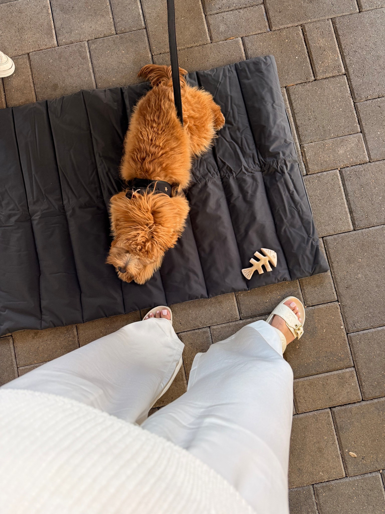 Remy's outdoor mat for when we take him to restaurants etc  