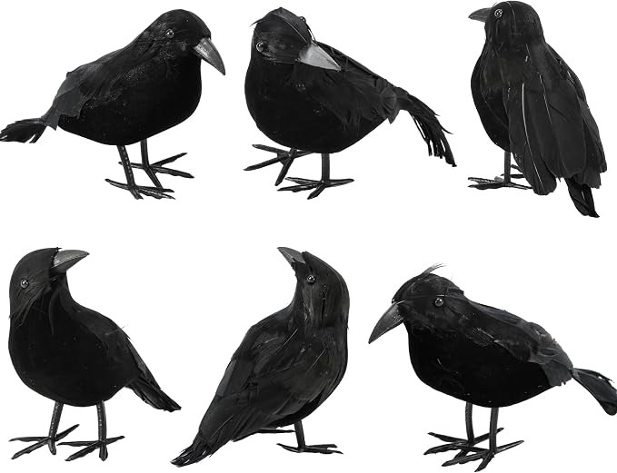 6 Pack Halloween Crow Decorations - Realistic Handmade Crow Black Feathered Crow, Halloween Crows... | Amazon (US)