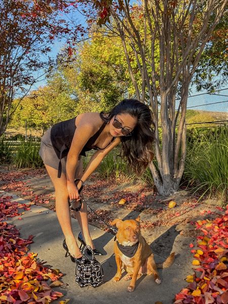 Holiday Outfits idea with all black fit and accessories from Charles & Keith 🎶🖤 

Style black pump heels with beaded crossbody bag and matching collar for my pup Chance ✔️〰️♠️

#LTKCyberWeek #LTKHoliday #LTKGiftGuide