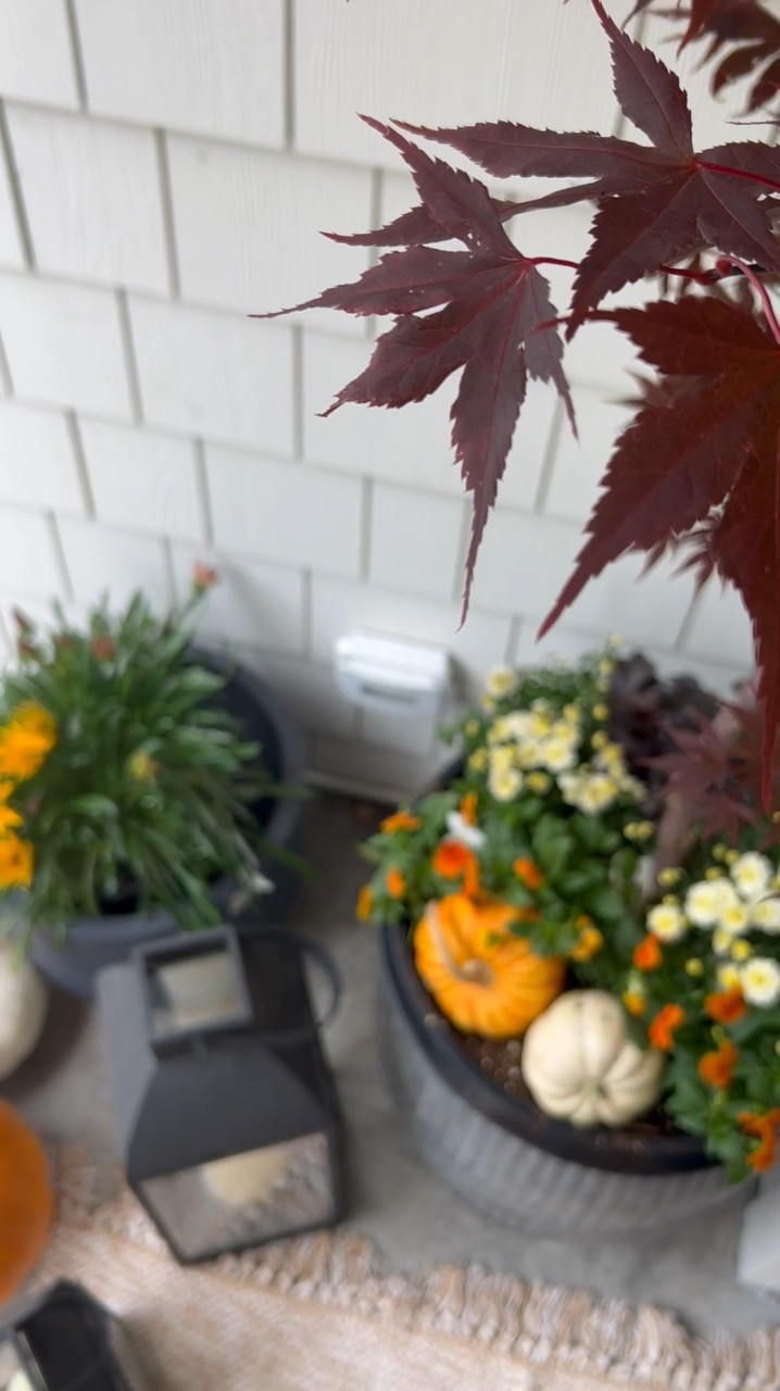 Fall Front Porch Styling 🍂

With our front porch finally completed this is the first season I’ve been really able to setup my fall front porch and I could not be any happier! There just something so welcoming about fall colors and pumpkins! 

Do you guys decorate your front porch for fall? Let me know in the comments! 



#LTKHome #LTKSeasonal #LTKFallSale