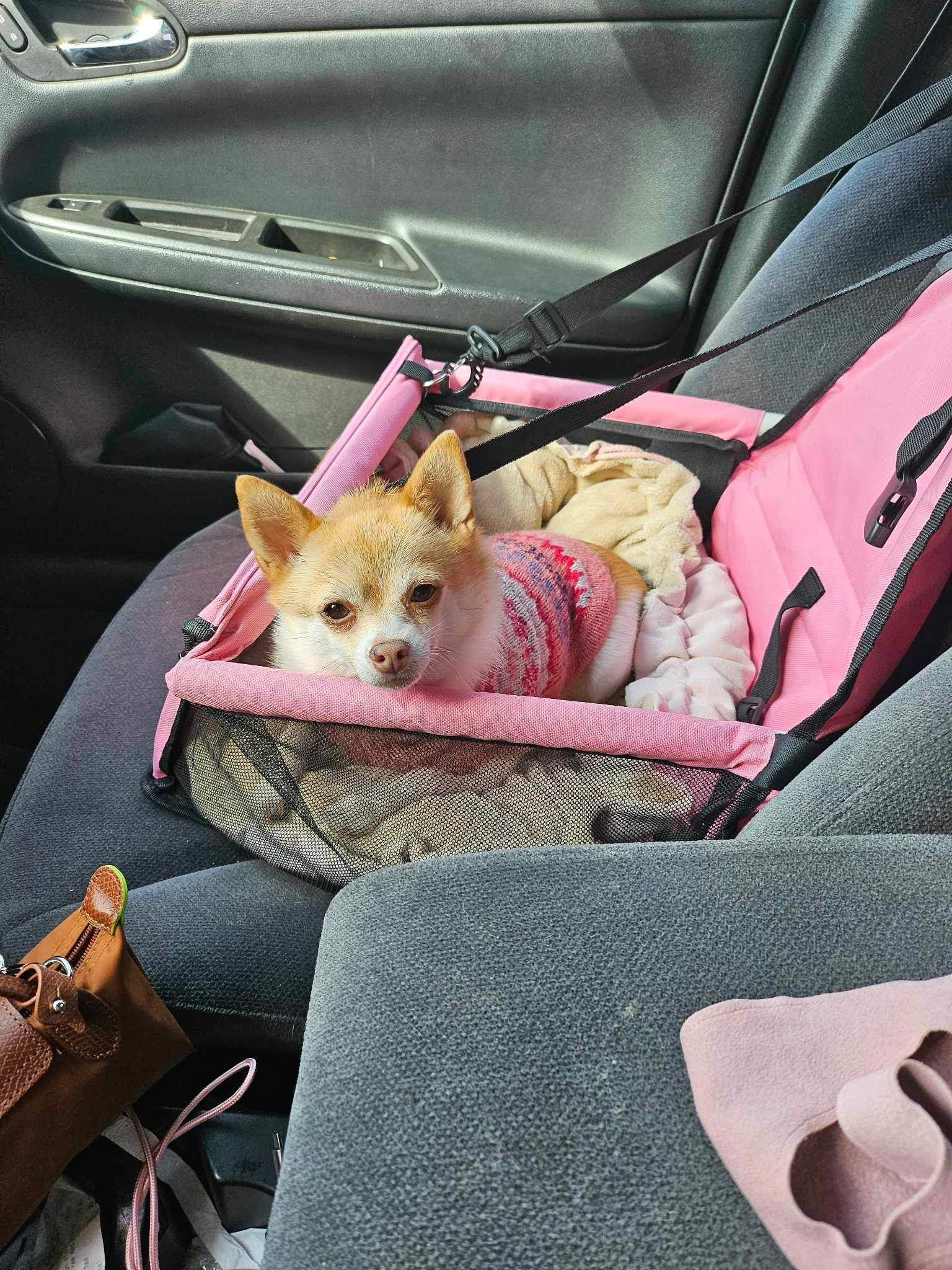 linked similar sweater from the same brand 