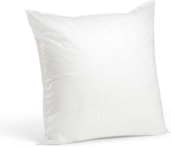 Foamily Premium Hypoallergenic Stuffer Pillow Insert Sham Square Form Polyester, 20" L X 20" W, S... | Amazon (US)