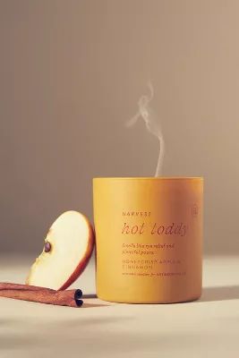 Anecdote Cocktail Candles | Anthropologie (US)