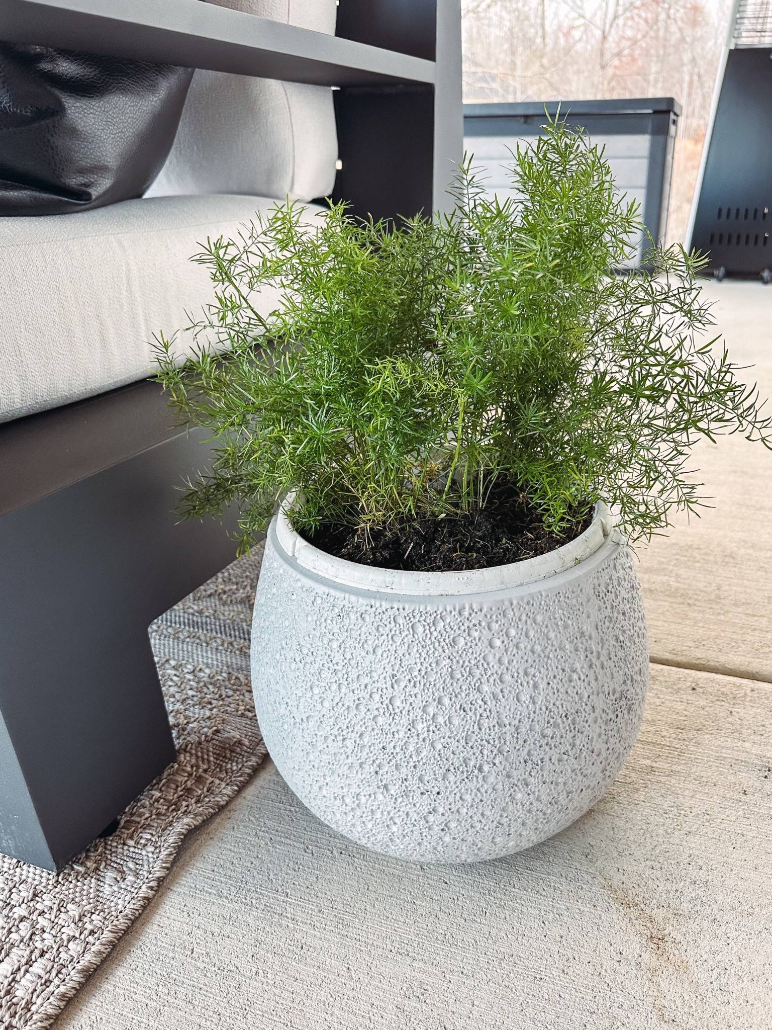 Planter, outdoor planter, affordable planter, textured planterr

#LTKHome #LTKSeasonal