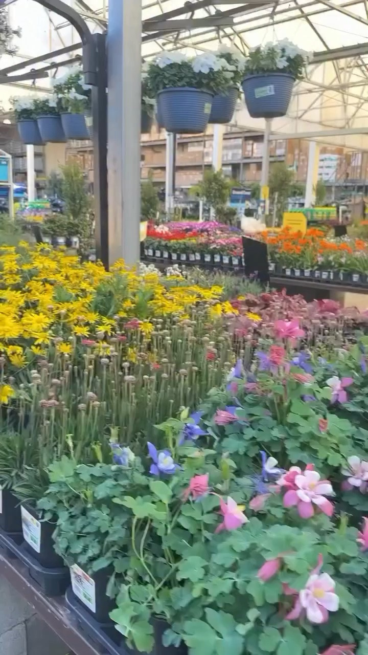 Comment GARDEN to shop my favorite finds from @loweshomeimprovement

Therapy is expensive. Gardening is cheaper... and comes with flowers. It is the season to plant some flowers
Flowers are so pretty, not only do they look good, but they also make you feel good according to research from Harvard Medical School.

You may be surprised by how simple it is to find and bring into your life

•
#lowes #loweshomeimprovement #gardenseason #gardenfinds