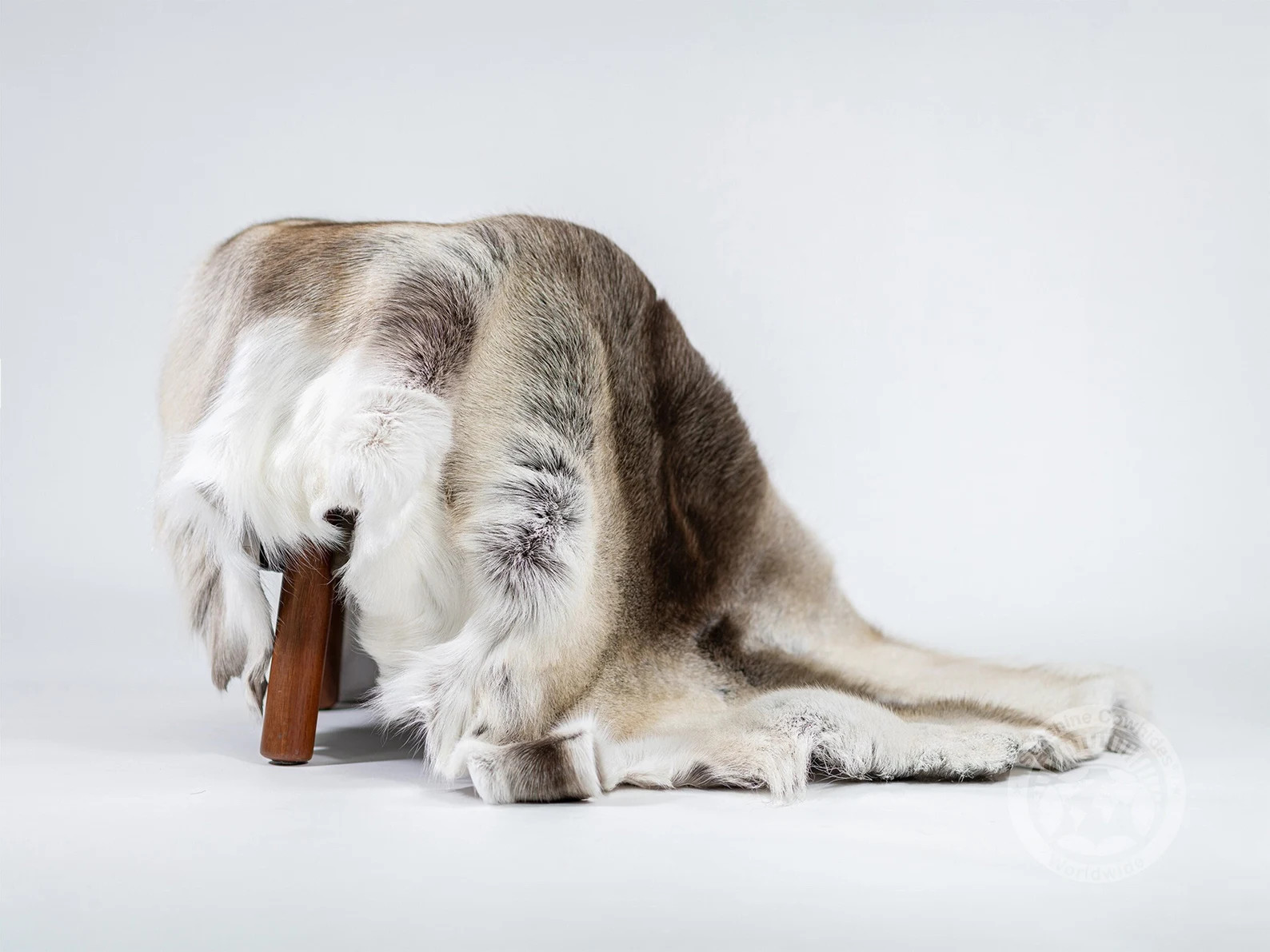 Real Reindeer Hide Rug, Size XXL - Etsy | Etsy (US)