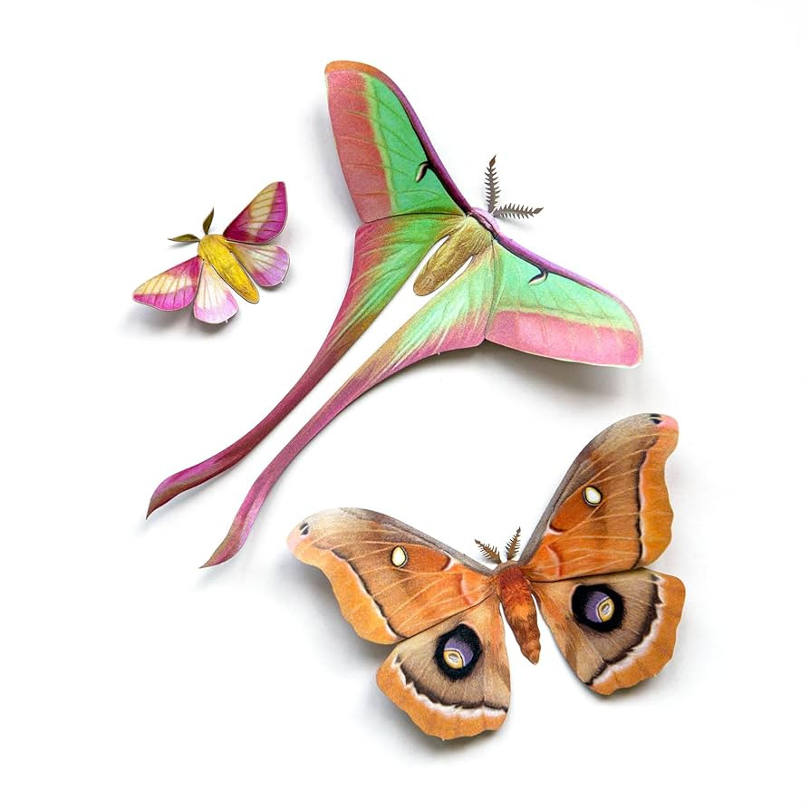 Colorful Realistic Paper Moths, Double-Sided Craft Cutouts, Polyphemus, Chinese Moon Moth, Rosy M... | Amazon (US)