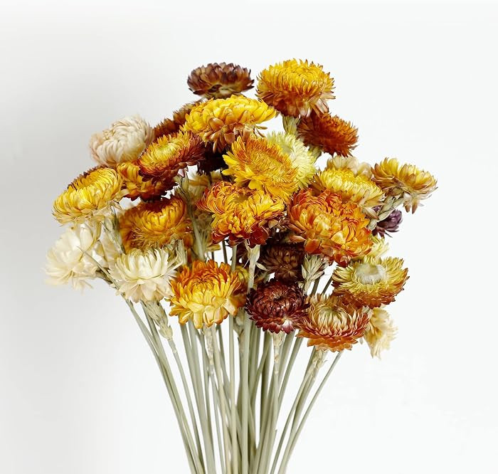 MIHUAGE Dried Flower 40PCS Daisy Bouquet 100% Natural Chrysanthemum Dry Flower for Vase Home d\u0... | Amazon (US)