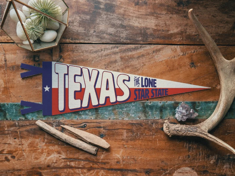 Texas Felt Pennant the Lone Star State Banner Poster. Vintage State Pride Typography Flag Pennant... | Etsy (US)