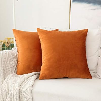 Home Brilliant Velvet Europe Pillow Sham Large Cushion Cover Pillow Case for Bed Office Cafe, Set... | Amazon (US)