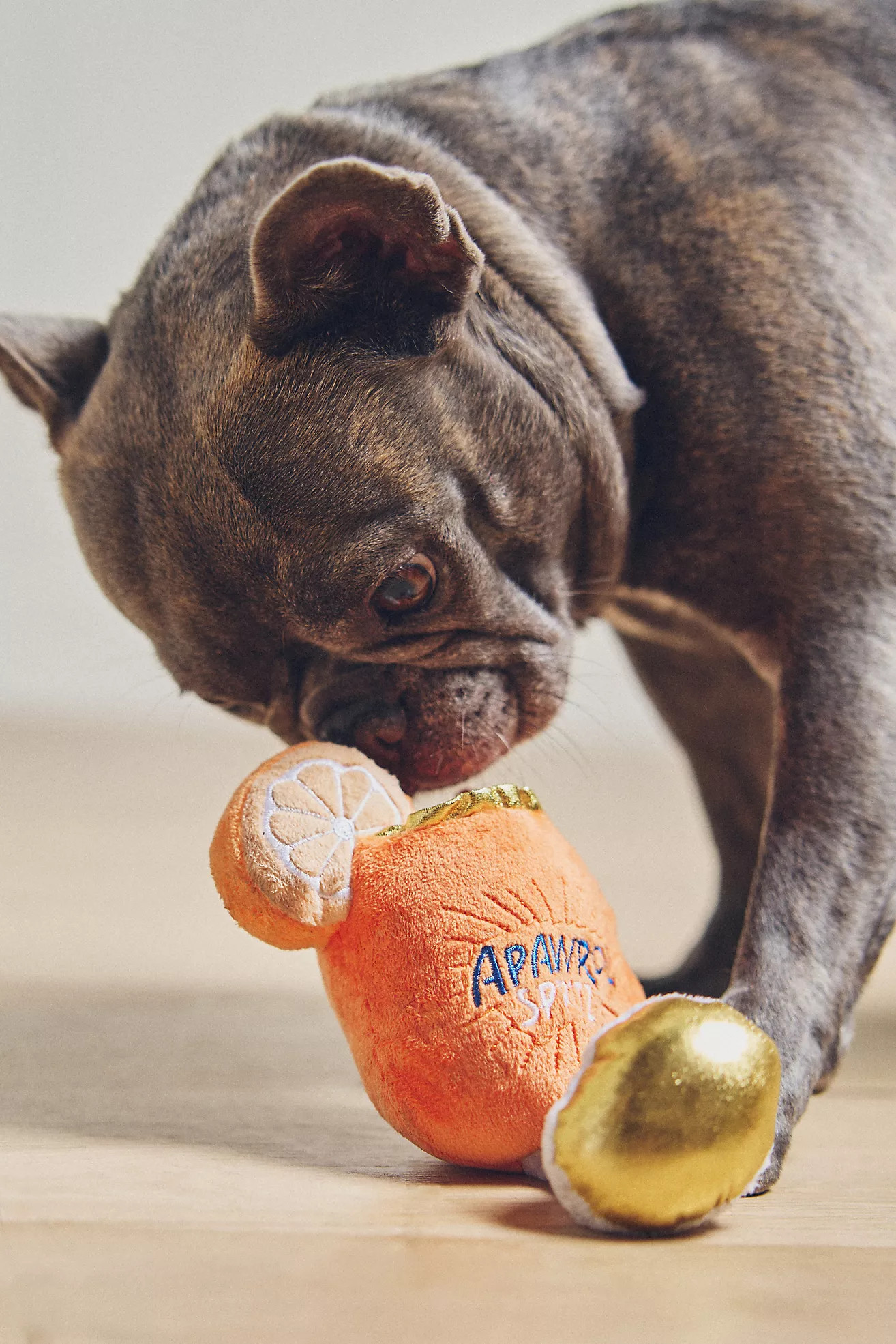 Haute Diggity Dog Beverage Dog Toy | Anthropologie (US)