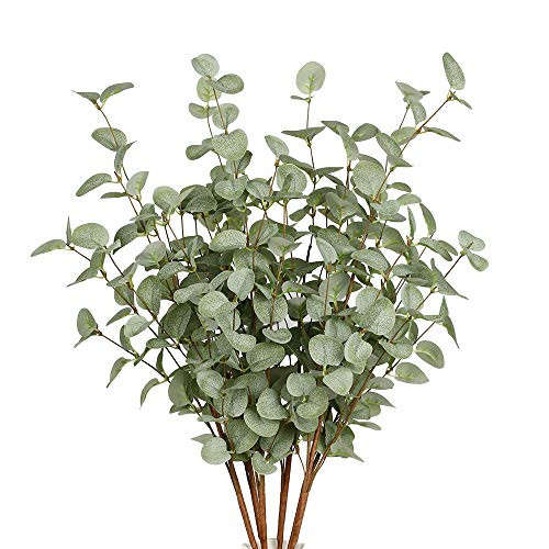 6 Pcs Artificial Greenery Stems Eucalyptus Leaf Spray in Green Greenery Stems Silk Plastic Plants Fl | Amazon (US)
