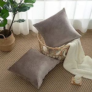 PY HOME & SPORTS Set of 2 Velvet Throw Pillow Covers 20x20 Inch Square Decorative Cushion Covers ... | Amazon (US)