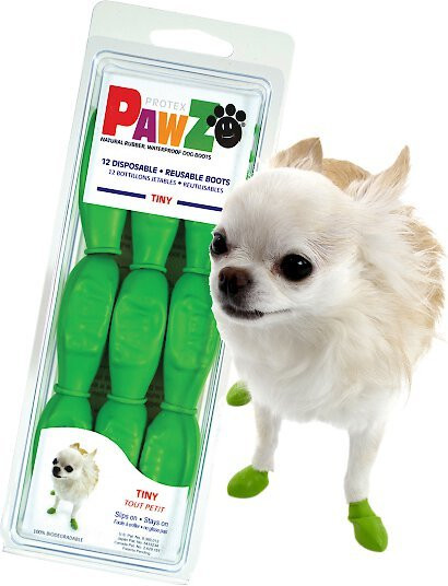 Pawz Waterproof Dog Boots, 12 count, Apple Green, Tiny | Chewy.com