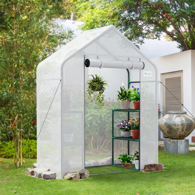 56"W Small Greenhouse w/ Shelves | Wayfair North America