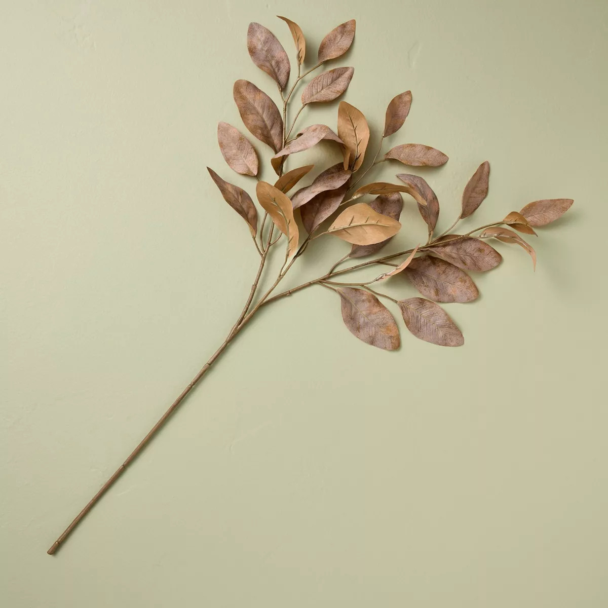Rusted Eucalyptus Fall Stem - Hearth & Hand™ with Magnolia | Target
