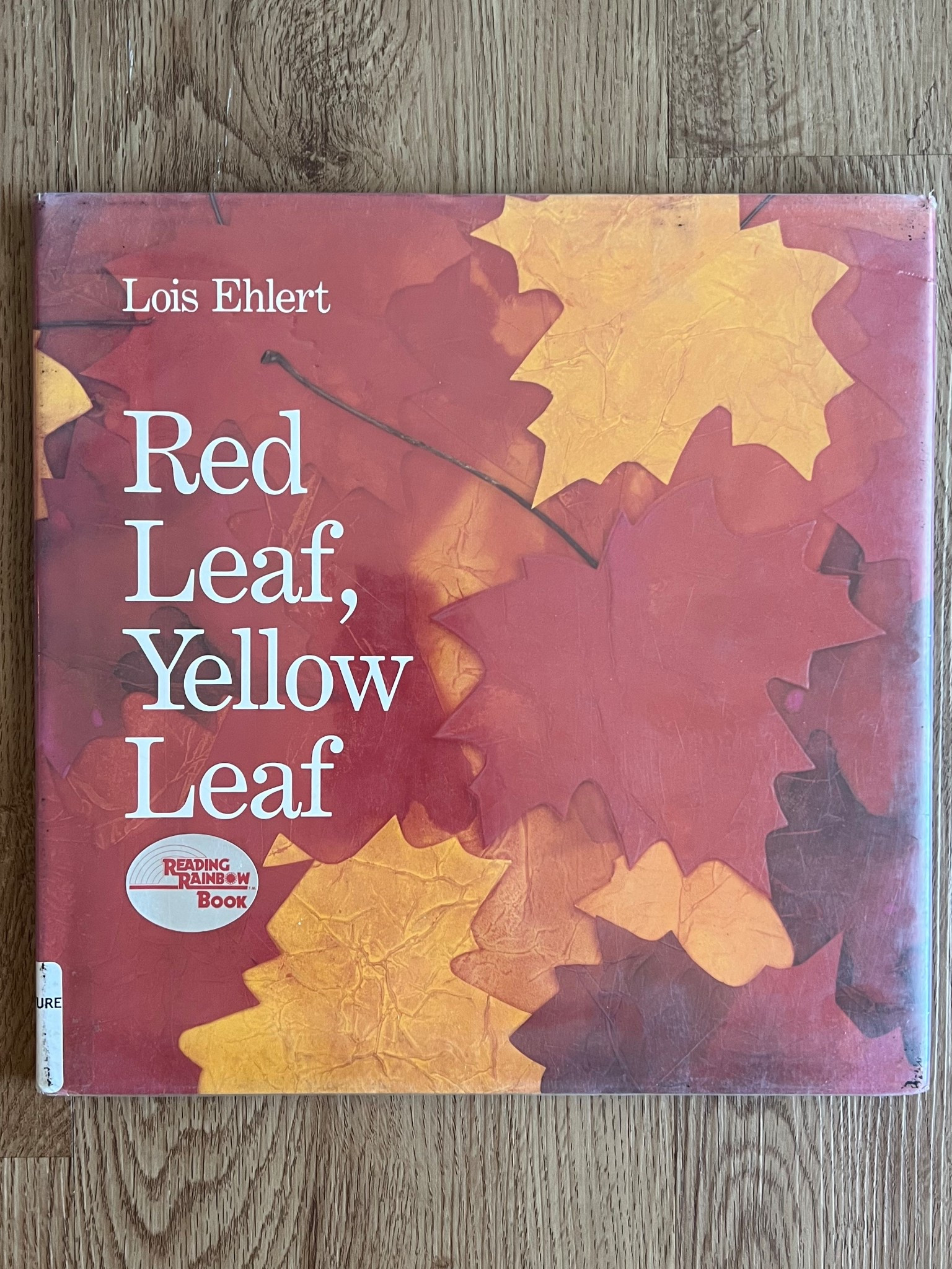 Today’s autumn book for storytime 📚

Children’s books | picture book | homeschool 

#LTKFindsUnder50 #LTKKids #LTKSeasonal