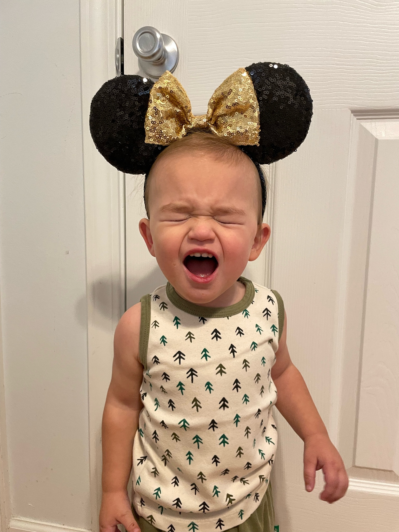Toddler Disney World essentials

#LTKtravel #LTKkids #LTKfamily