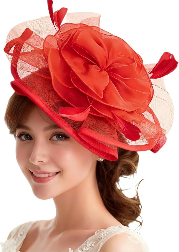 Women's Transparent Hard Yarn Church Bridal Tea Party Wedding Cocktail Party Feather Tea Party Ha... | Amazon (US)