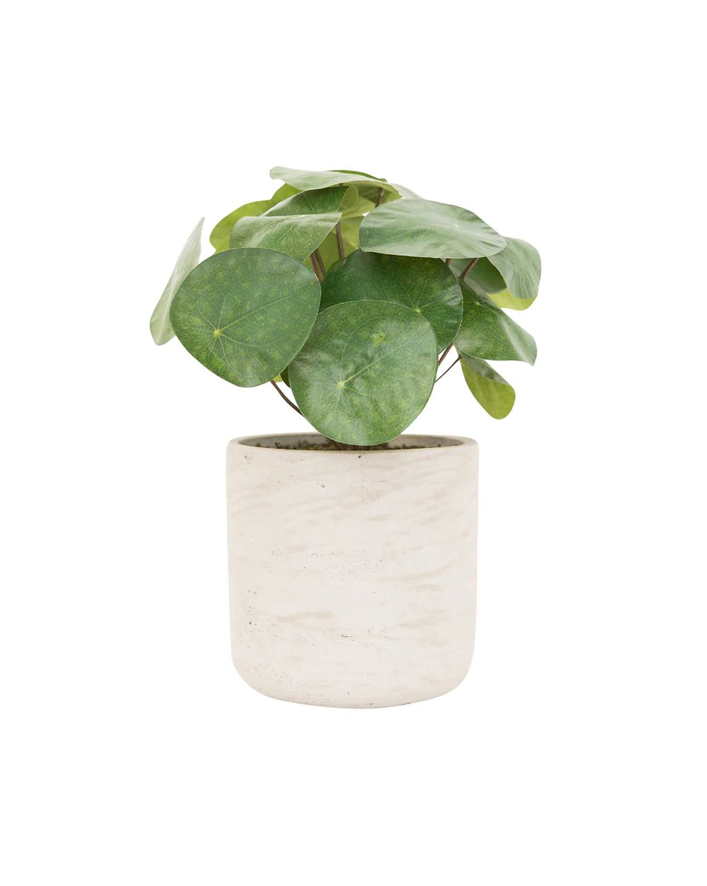 Faux Potted Pancake Plant | McGee & Co.