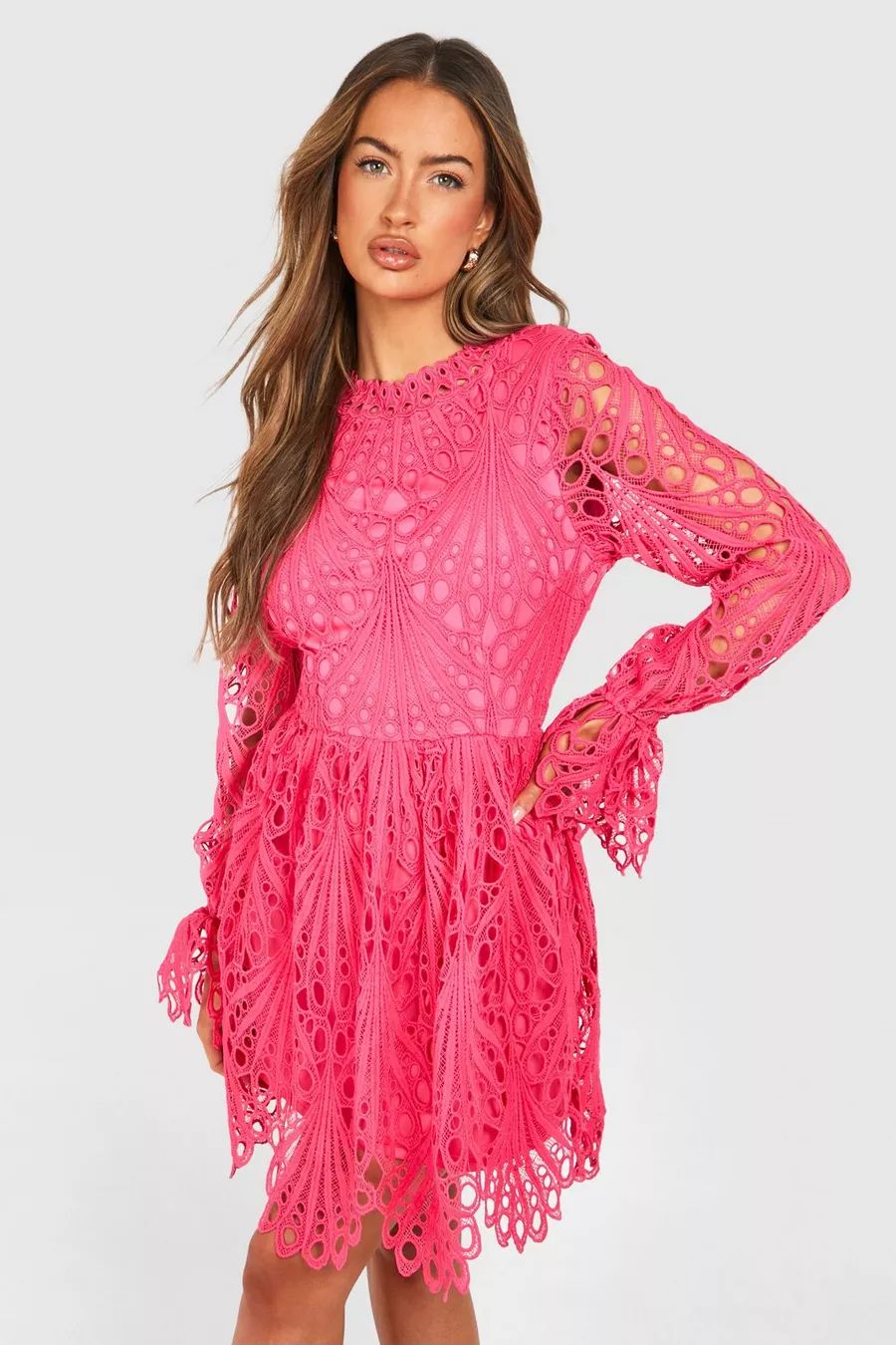 High Neck Flared Sleeve Lace Skater Dress | boohoo (US & Canada)