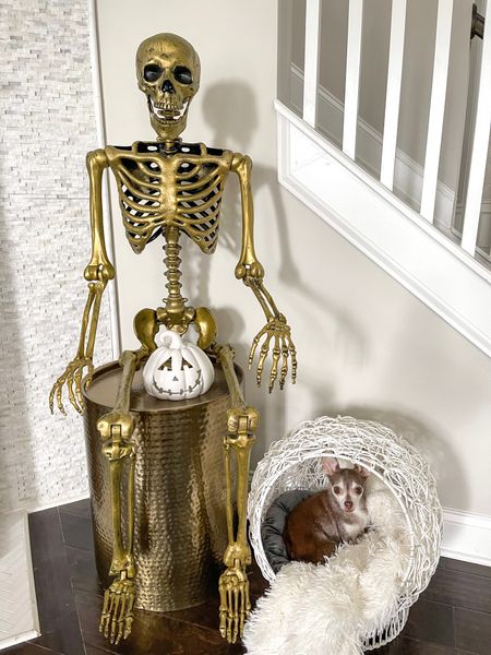Poseable gold skeleton!

Halloween, ceramic jack o lantern, dog chair, dog bed

#LTKSeasonal #LTKhome #LTKHalloween